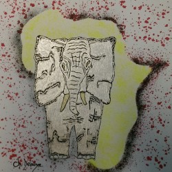 N   44